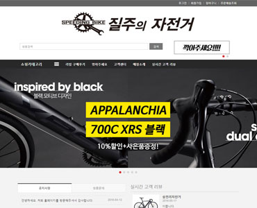 질주의 자전거